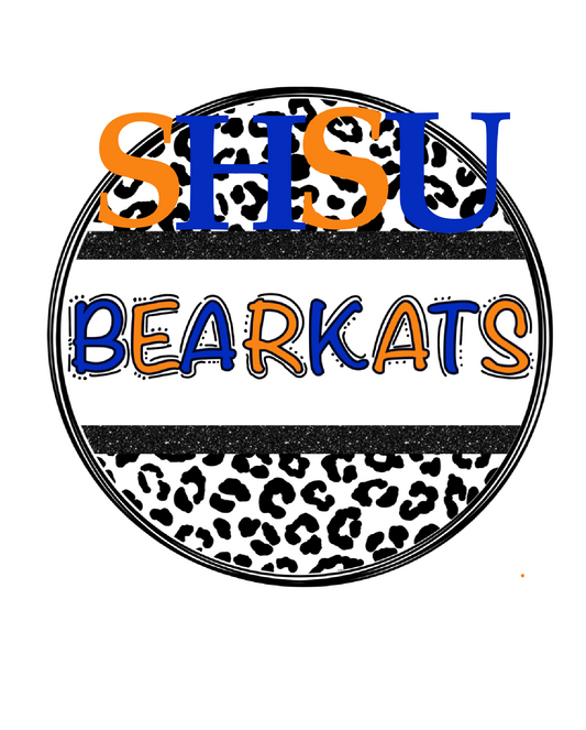 Cheetah team